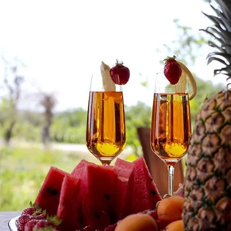 Penzion Gold Istra 3*