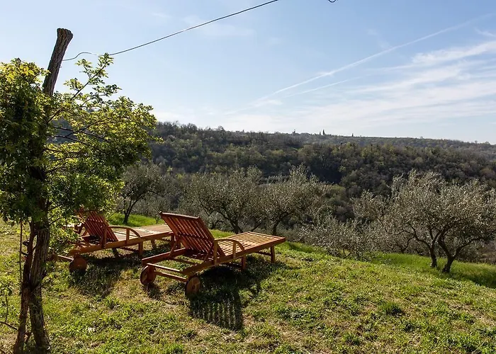 Gold Istra Affittacamere