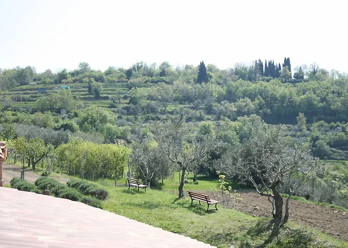 בית הארחה Gold Istra 3*