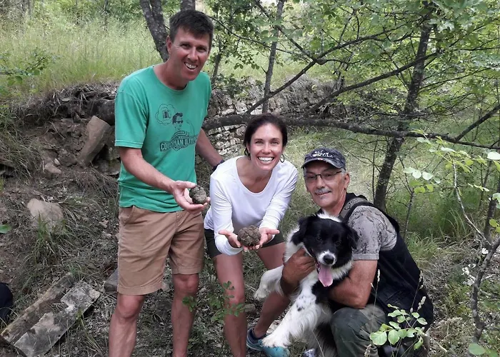 Gold Istra 3* Sečovlje